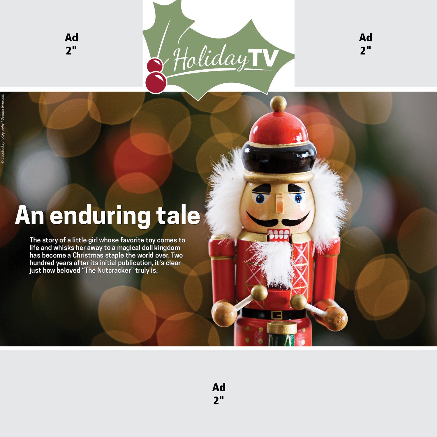 Image of Holiday TV 2016